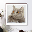 Partial Embroidery Stamped Cat DIY Cross Stitch Kits 11CT Needlework Sets Gift