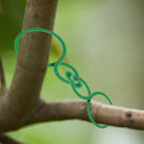 20/100pcs Plant Garden Stem Support Clips, Bundled Buckle Ring Binding Holder