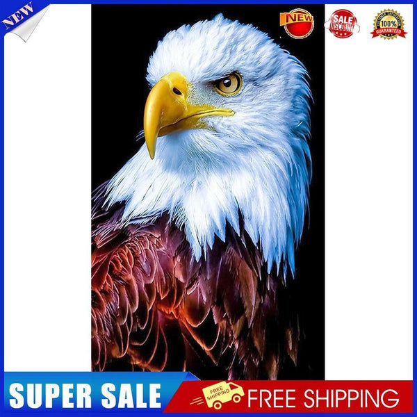 White Eagle Oil Paint By Numbers Kits Canvas DIY Hand Painted Wall Pictures