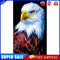 White Eagle Oil Paint By Numbers Kits Canvas DIY Hand Painted Wall Pictures