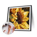 Sunflower 20X20cm Frameless Oil Paint By Numbers DIY Painting Crafts (S558)