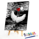 Red and white roses 40x50cm Oil Paint By Numbers Picture DIY Painting M748