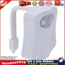 LED Toilet Nightlight 8 Colors Automatic Body Motion Sensor Bath Seat Lamp Newly