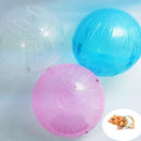 Rodent Mice Pet Gerbil Exercise Hamster Play Jogging Ball
