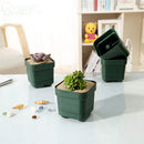 Plastic Home Plant Container Planter Flower Pots Plant Pot Succulent Box