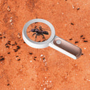 Handheld Optical Magnifying Glass Portable Glowing Magnifier Glasses for Reading