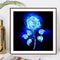 Diamond painting DIY round diamond rose flower series B1665