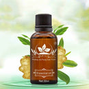 Extract Essential Oil Skin Care Lymphatic Drainage Ginger Oil Body Massage