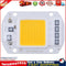 High Power 50W AC 220V COB LED Lamp Chip for Spotlight Searchlight(WW) Newly