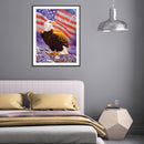 5D DIY Flag Eagle Full Square Drill Mosaic Diamond Painting Rhinestone Art Cr