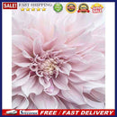 Canvas Paint By Numbers Flowers Oil Hand Painted Drawing Kit Home Decoration