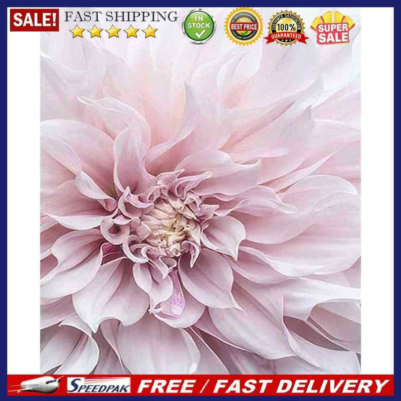 Canvas Paint By Numbers Flowers Oil Hand Painted Drawing Kit Home Decoration