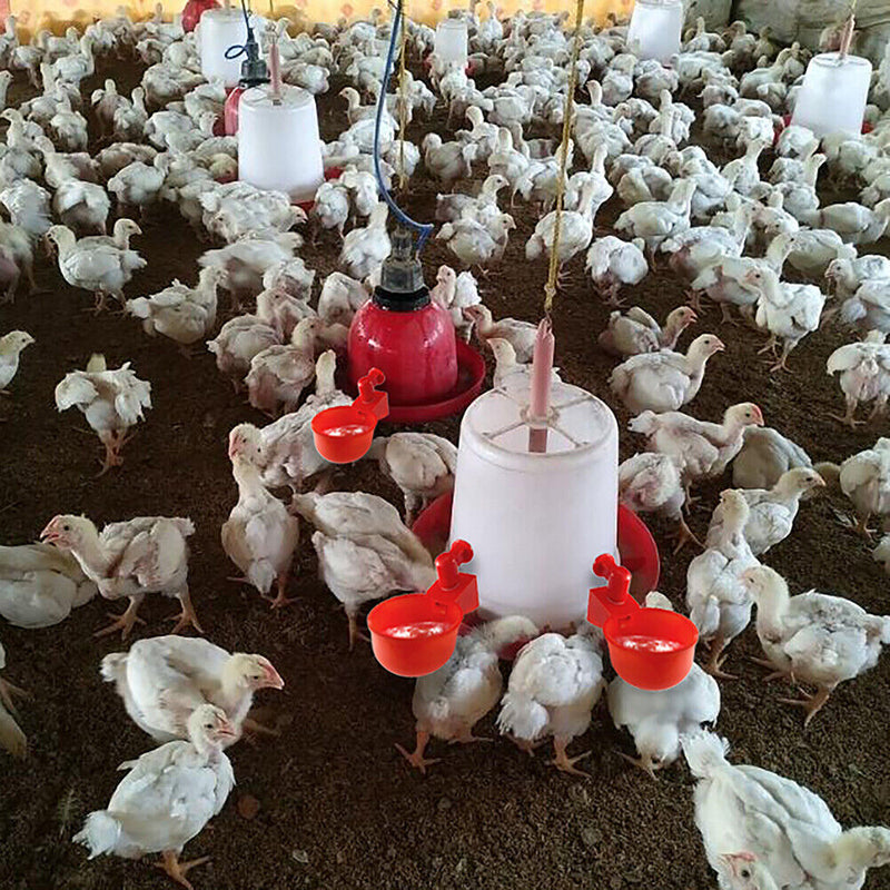 2x automatic bird barn, poultry, chicken drinks, water drinking cup, poultry