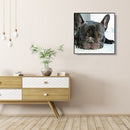 5D Diamond Painting Animal Full Square Rhinestone DIY Wall Home Decoration Gi
