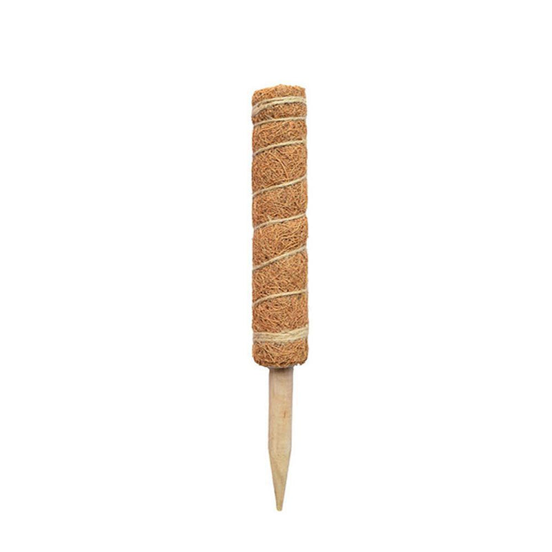 Coconut Palm Stick - Plant Supporting Poles Plant Climbing Vine (30cm)
