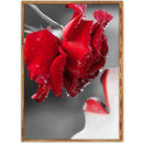 5D DIY Diamond Painting Sexy Rose Lip Cross Stitch Embroidery Rhinestones