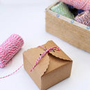 1 Roll 100 Meters 2Ply Cotton Twine DIY Weaving Handmade Craft Rope (Rose) Newly