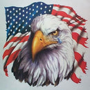 American Eagle Diamond Painting Kits Full Round Drill Home Wall Decor (B4955)