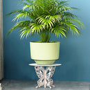 Flower Pot Base Holder Wood Plant Succulent Display Stand Shelf (Butterfly)