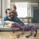 #A Remote Control Dinosaur 8 Channels 2.4GHz Simulation Electronic Educational T