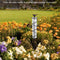 Glass Spiral Rain Gauge - Outdoor Yard Waterproof Hanging Decorative Rain Gauge