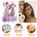 Dried Flower Material Package Real Pressed Dry Plants & Butterfly Stickers