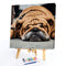 Hand Painted on Canvas DIY Sleeping Dog Oil Paint By Numbers Drawing Kit Cr