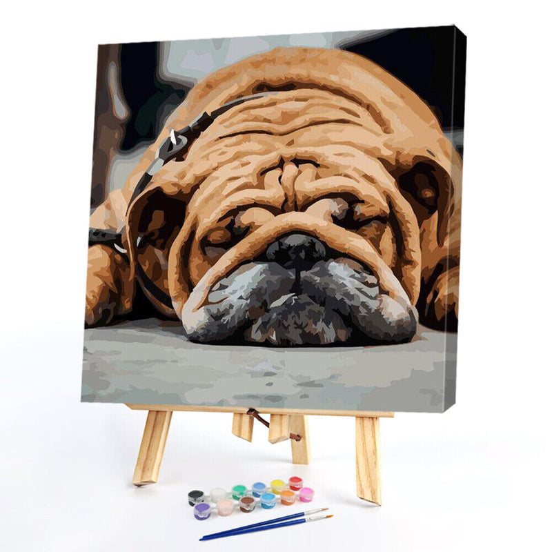 Hand Painted on Canvas DIY Sleeping Dog Oil Paint By Numbers Drawing Kit Cr