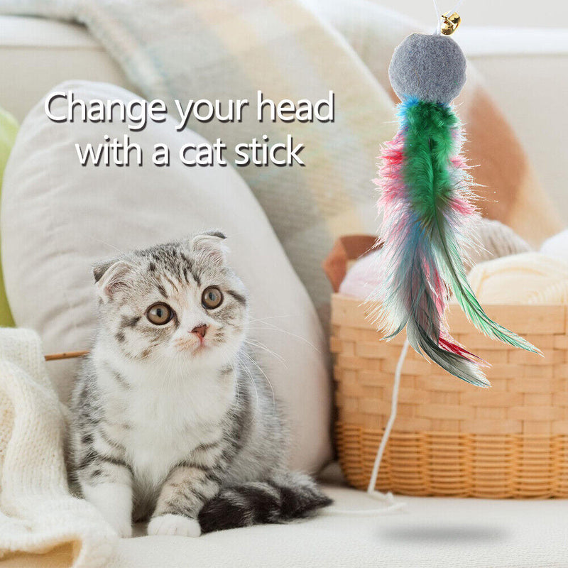 10pcs Feather Teasing Toys Cat Pompom Ball Pet Teaser Bell Sound Interactiv