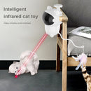 Cat Teaser Creative Safety Self Playing for Home Pet Accessories Multifunctional