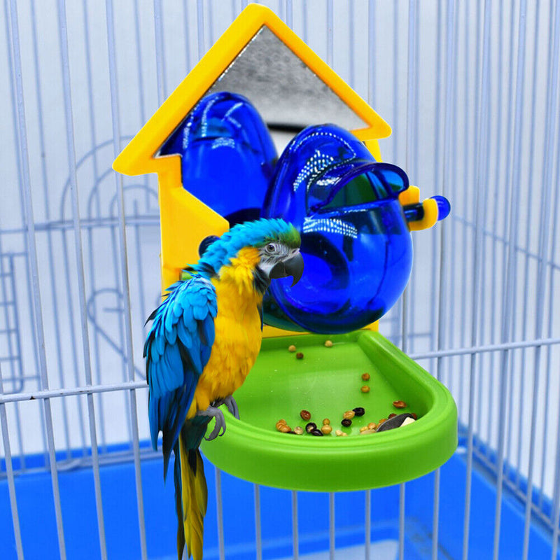 Leakage Food Parrot Mirror Foraging Props Development Intelligence Random C