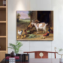 Goat Rooster Oil Paint By Numbers Kit DIY Acrylic Painting on Canvas (B1475)