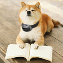 7 Sensitivities Anti Barking Device Ultrasonic Dogs Training Stop Barking Necklace