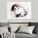 White Adorable Cat 5D Diamond DIY Painting Craft Kit Home Decor