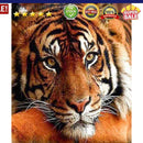 Painting By Numbers Kit DIY Quiet Tiger Canvas Oil Wall Art Picture Ornaments