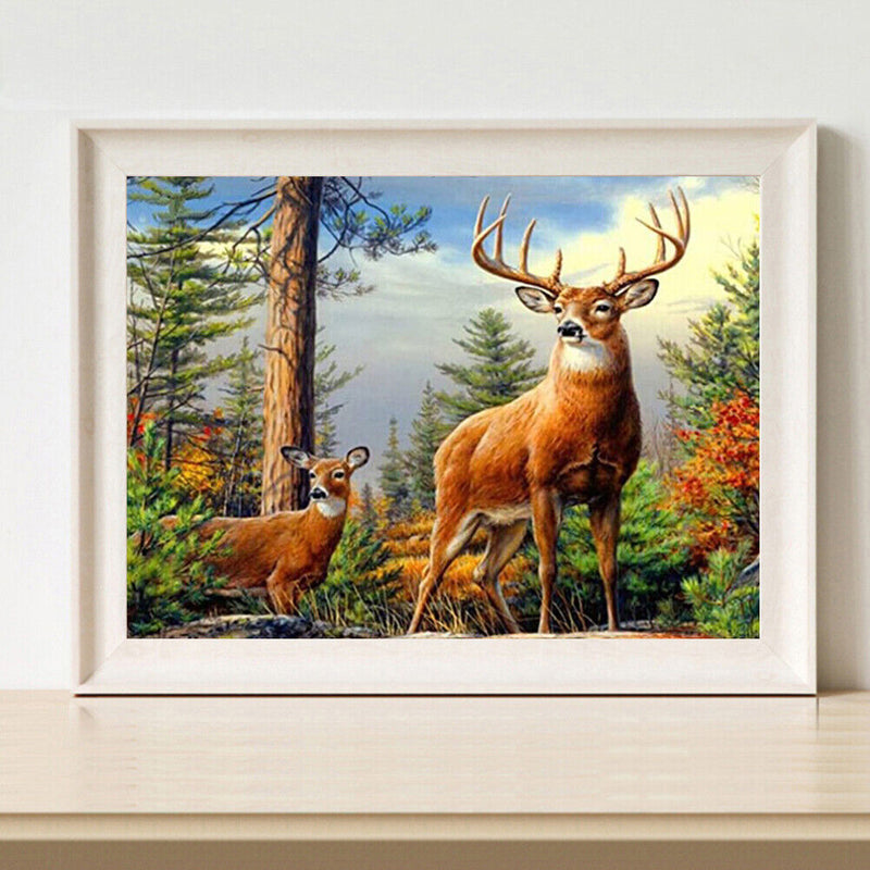 Oil Paint By Numbers Picture DIY Drawing Painting Froest Deer Drawing on Canvas
