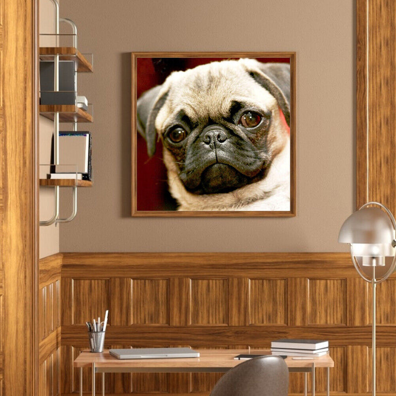 Canvas Painted Oil Paint By Numbers Dog Animal DIY Wall Art Modern Bedroom Decor