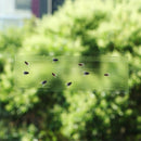 Sticky Fly Traps Fly Sticky Traps Window Fly Traps Fly Strip Fly Catcher Trap