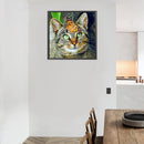 5D DIY Diamond Painting Kits Cat Full Round Drill Animal Decor Wall Crafts