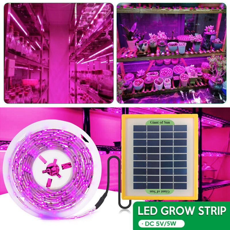 #A Solar LED Plant Grow Light Strip Greenhouse Hydroponic Phytolamp Equipment