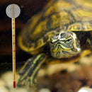 Aquarium Thermometer Suction Cup Fish Tank Glass Water Thermometer Accessor