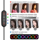 Dual-color Temperature Ring Video Light Kit Selfie Lamp 10.2 inch 26cm RGBWW