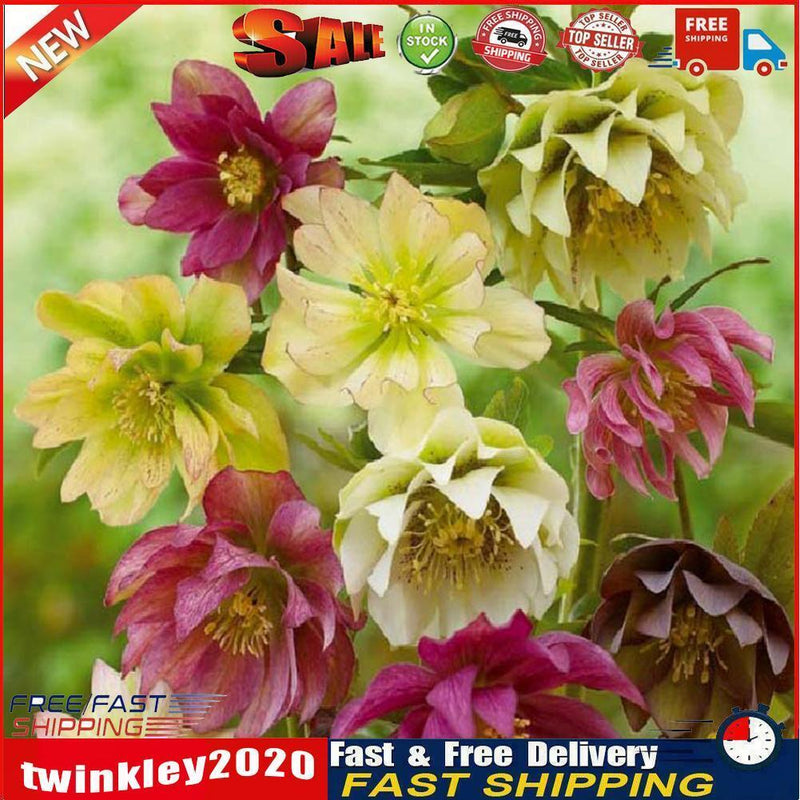 5D Full Round Drill Diamond Painting diy Flowers Needlework Decor (C1266) Newly