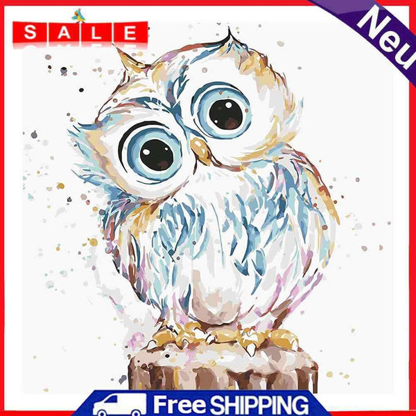 Acrylic Oil Painting By Numbers Cute Owl Digital Picture Artwork Home Wall Decor