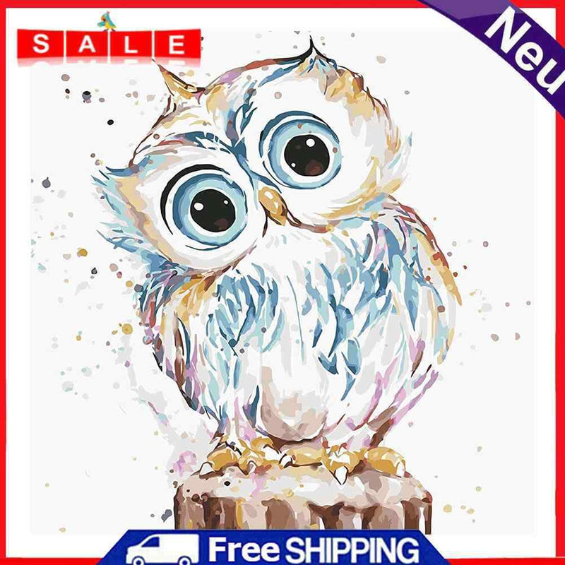 Acrylic Oil Painting By Numbers Cute Owl Digital Picture Artwork Home Wall Decor
