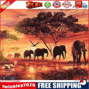 Painting By Numbers Kit DIY Elephant Hand Painted Canvas Oil Art Picture
