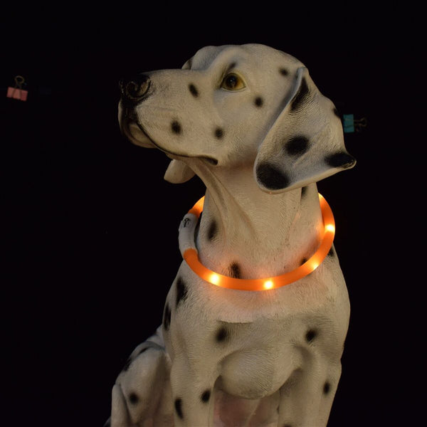 Dogs Large Dog Collar Luminous Collar Pet Collar Pet Luminous Collar Dog Collar