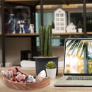 Moon Tray - Crystal Gemstones Storage and Organizer Tray Box Crescent Moon Bowl