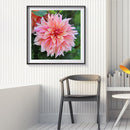 5D Full Round Drill Drawing Picture Pink Flower Diamond Painting Room Decor