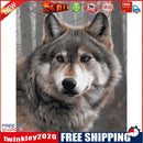 Painting By Numbers Kit DIY Gray Wolf Canvas Oil Home Wall Art Picture